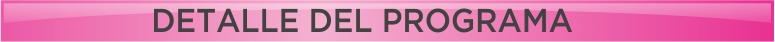 detalles del programa