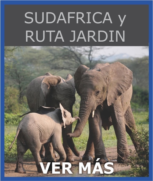Sudafricayrutajardin 3 Min